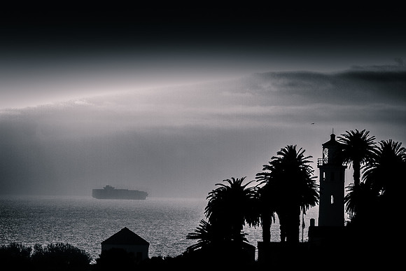 _MG_9807-Edit